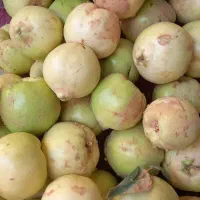 به درجه یک کیلو۵۰|خوردنی و آشامیدنی|شیراز, شهرک سعدی|دیوار