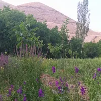 باغ در روستای جراغیل آذرشهر