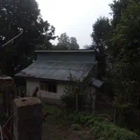 ملک-کلنگی-ارگ-شمالی