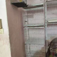 عنوان قفس پرنده|لوازم جانبی حیوانات|بوشهر, |دیوار