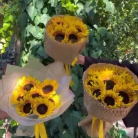 دسته گل آفتابگردون بقچه ایی|گل و گیاه طبیعی|تهران, ورزشگاه آزادی|دیوار