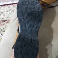 صندل