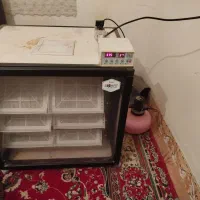 دستگاه جوجه کشی اسکندری