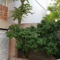 67متر-اپارتمان