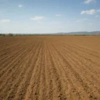 فروش ۲.۵ ساعت آب همراه با زمین کشاورزی