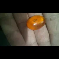 کهربای مهمان دار