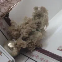 کرم درلوازم آرایشی بهداشتی