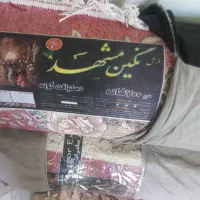 لوازم خانگی|یخچال و فریزر|لردگان, |دیوار