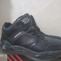 کفش|کیف، کفش، کمربند|قم, صفائیه|دیوار