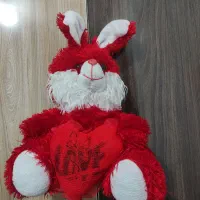 خرگوش|اسباب‌‌بازی|بوکان, |دیوار