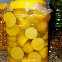 انواع ترشی خانگی|حراج|اسدآباد, |دیوار