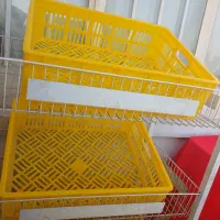 سبد بزرگ میوه|ظروف نگهدارنده، پلاستیکی، یک‌بارمصرف|مشهد, الهیه|دیوار