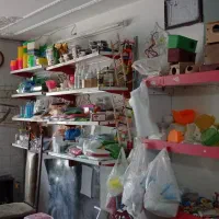 واگذاری پرنده فروشی وکلی لوازم جانبی قفس وپایه|پرنده|تربت‌حیدریه, شهرک ولیعصر|دیوار