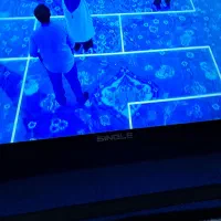 تلویزیون ۴۹ اینچ بسیار تمیز|تلویزیون و پروژکتور|کرمان, |دیوار