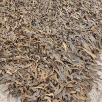 فرش چرم طبیعی نسکافه ای پرز بلند