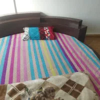 سویت گلستان|اجارهٔ کوتاه‌مدت آپارتمان و سوئیت|اهواز, گلستان|دیوار