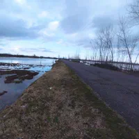 زمین یک هکتارشالیزارسنتی براصلی خیابان متری۳۵۰هزار|فروش دفتر صنعتی، کشاورزی، تجاری|لاهیجان, گلستان|دیوار