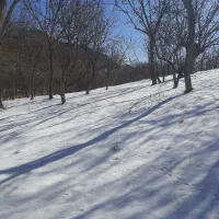 راهنمایی‌میکنم