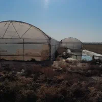گلخانه-اجاره-ای