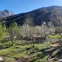 فروش زمین باغی در جاده الستان به متراژ 1117 متر