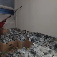 ذغال پسته قلیونی قلم سفید|عمدهفروشی|خمینیشهر, |دیوار