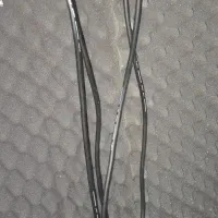 کابل اتصال به اسپیکر مانیتورینگ|آلات موسیقی|قرچک, شهرک طلائیه|دیوار