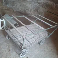 گاری سالم و سرحال