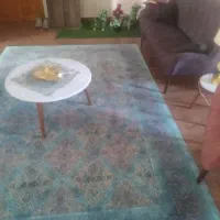 فروش وسیله های منزل در حد نو به دلیل مهاجرت|فرش|همدان, |دیوار