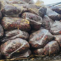 خرماضایعات