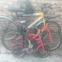 دوچرخه|دوچرخه، اسکیت، اسکوتر|گنبد کاووس, |دیوار