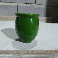 جاماستی