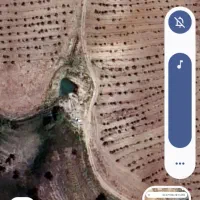 فروش 2دانگ از باغ بادام 8هکتاری  با 3هزار نهال با|فروش دفتر صنعتی، کشاورزی، تجاری|آوج, |دیوار