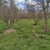 تنها فروشنده باغ و ویلا روستا نام آور فیروزکوه۵۰۰m