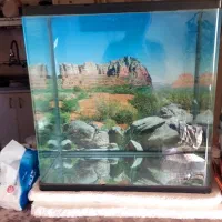 آکواریوم و پمپ هوا  وبخاری|ماهی|زاهدان, |دیوار