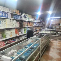 واگزاری الکتریکی با بیش از 30 سال سابقه