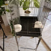 قفس|لوازم جانبی حیوانات|گلبهار, شهر جدید گلبهار|دیوار