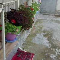 گل طبیعی