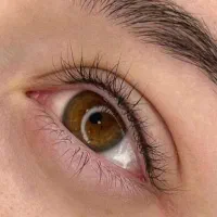 50% تخفیف میکروبلیدینگ ابرو و شیدینگ و تینت لب|خدمات آرایشگری و زیبایی|کرج, گلشهر|دیوار