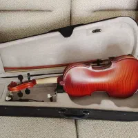 ویلن 1/4|ویولن|سنندج, |دیوار