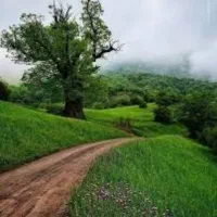 اجاره ۶هکتار زمین زراعی