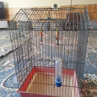 قفس پرنده