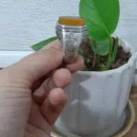 انگشترقدیمی|جواهرات|نظرآباد, رسالت|دیوار