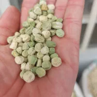 بذر نخود فرنگی دومنظوره نسل اول|عمده‌فروشی|گرگان, |دیوار