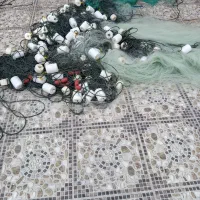 تور جشی|ماهیگیری|دلوار, |دیوار