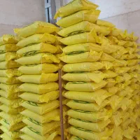 برنج طارم هاشمی سورت شده|عمده‌فروشی|لاهیجان, طالقانی|دیوار