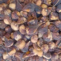 انجیر|خوردنی و آشامیدنی|شیراز, شریف‌آباد|دیوار