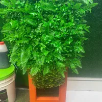 درب و پنجره دوجداره upvc آینه دکوراتیو چمن مصنوعی|مصالح و تجهیزات ساختمان|اهواز, کمپلو جنوبی|دیوار