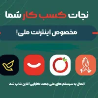 طراحی سایت حرفه ای مخصوص اینترنت ملی