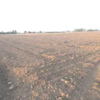 فروش زمین کشاورزی آبی|فروش دفتر صنعتی، کشاورزی، تجاری|بهار, |دیوار