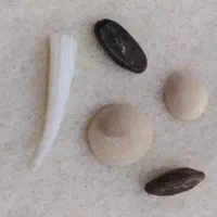 مهره تضمینی